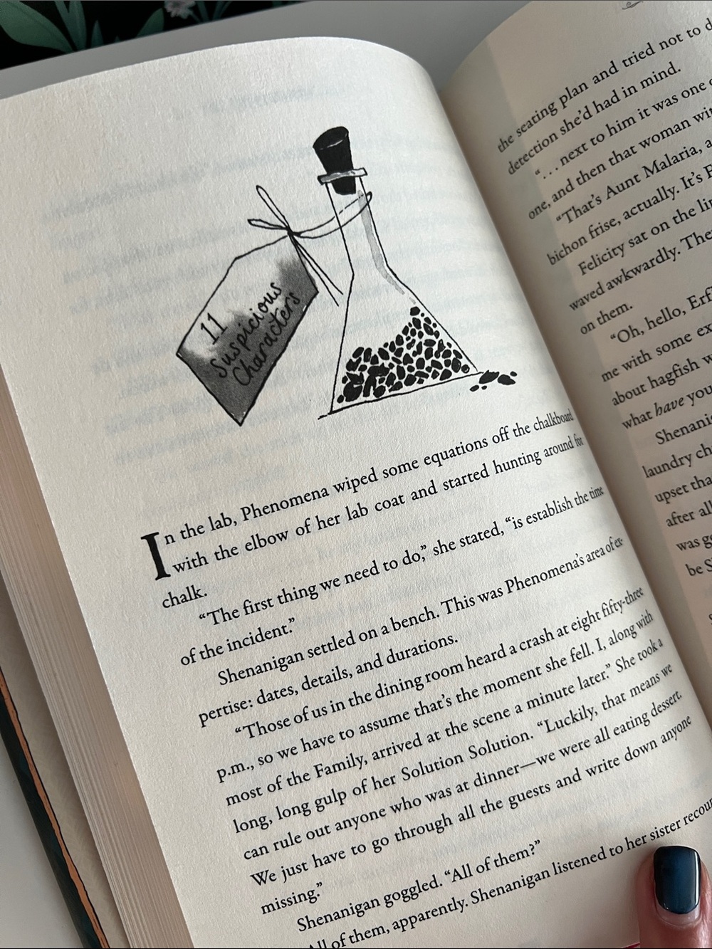 The Swifts: A Dictionary of Scoundrels, written by Beth Lincoln Hardcover book - Picture 14 of 17